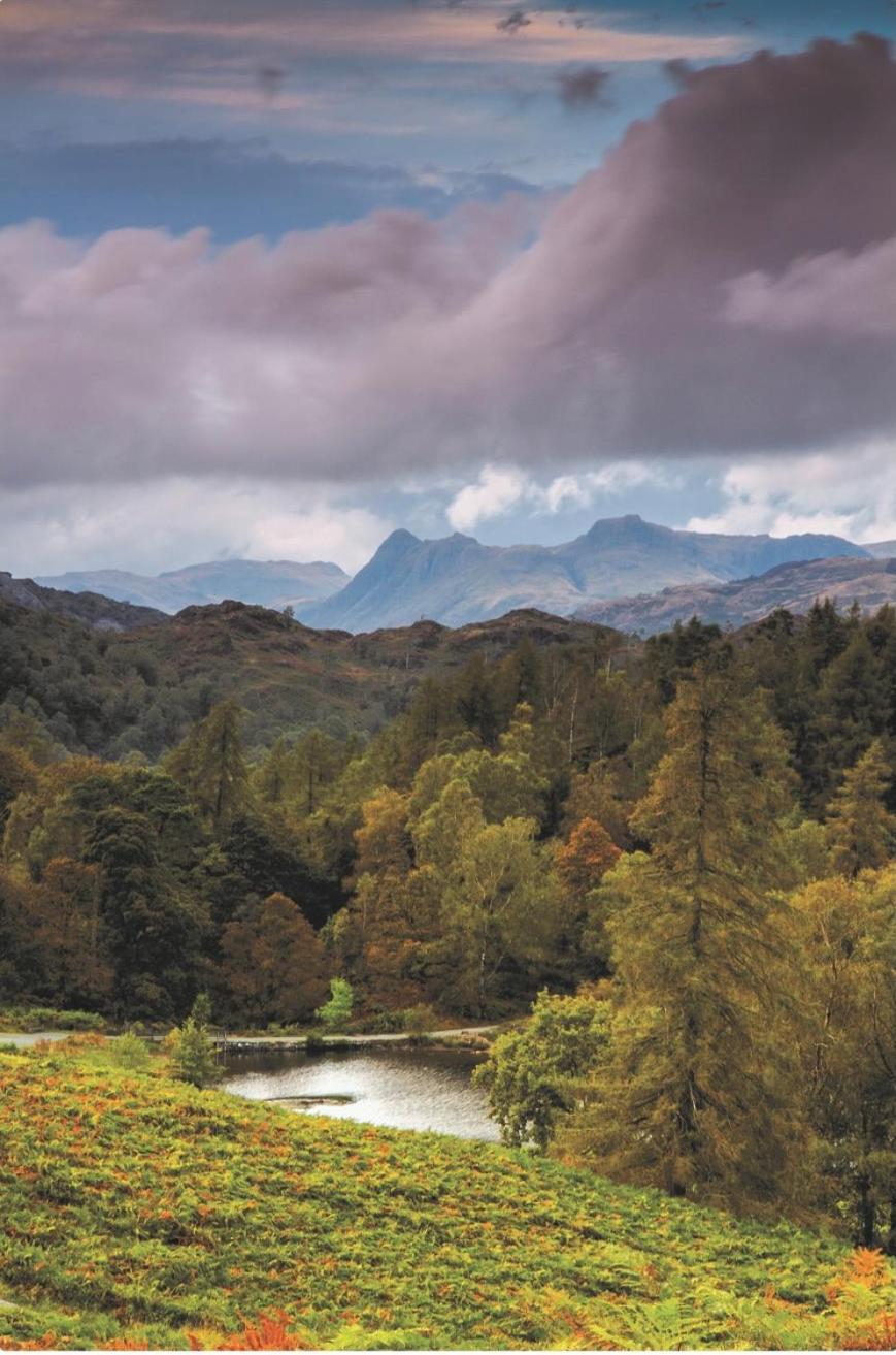 Yewfield Self Catering Apartments Hawkshead Exteriör bild