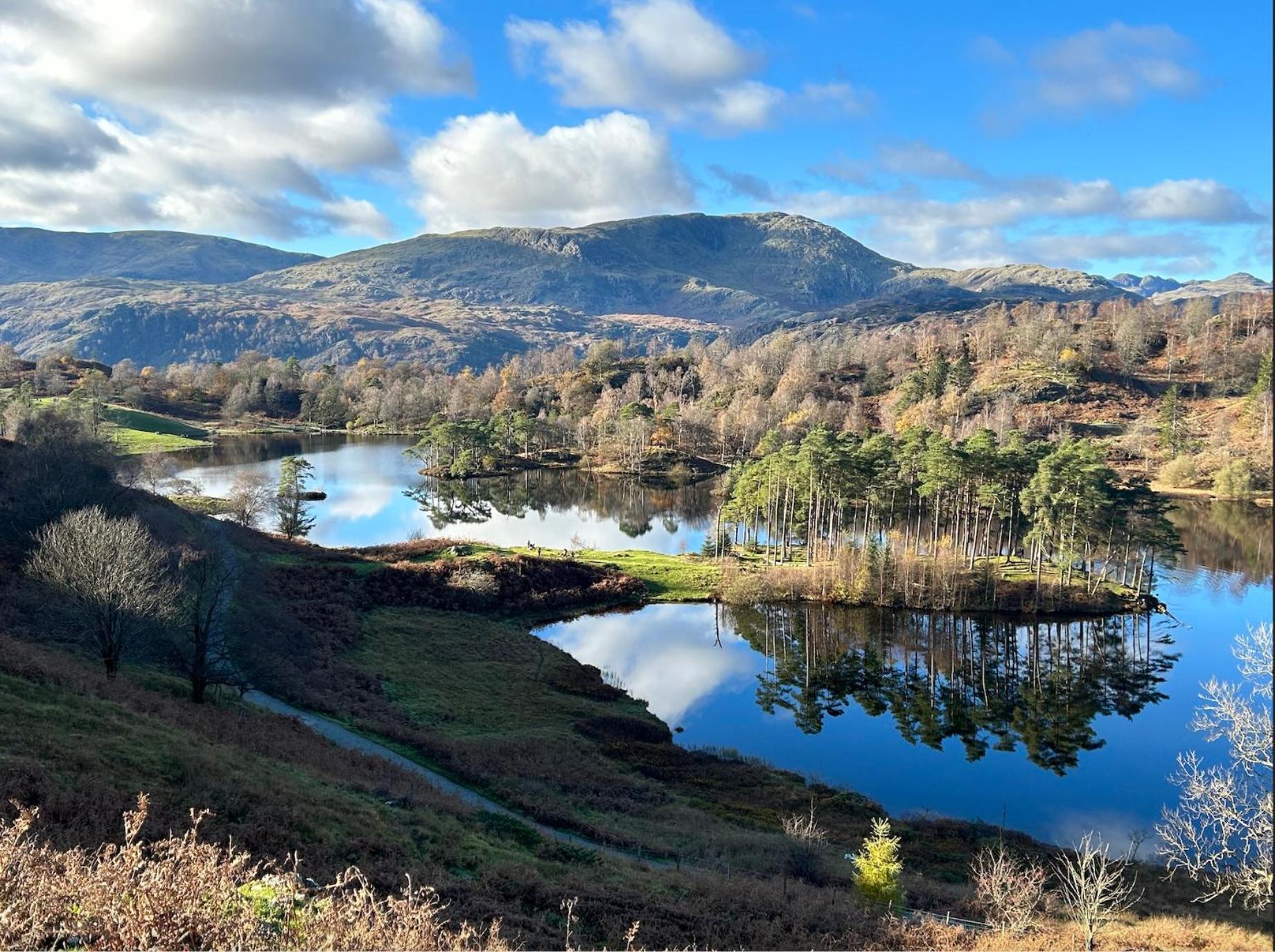 Yewfield Self Catering Apartments Hawkshead Exteriör bild